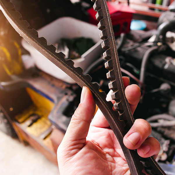 A mechanic hand holding a car timing belt