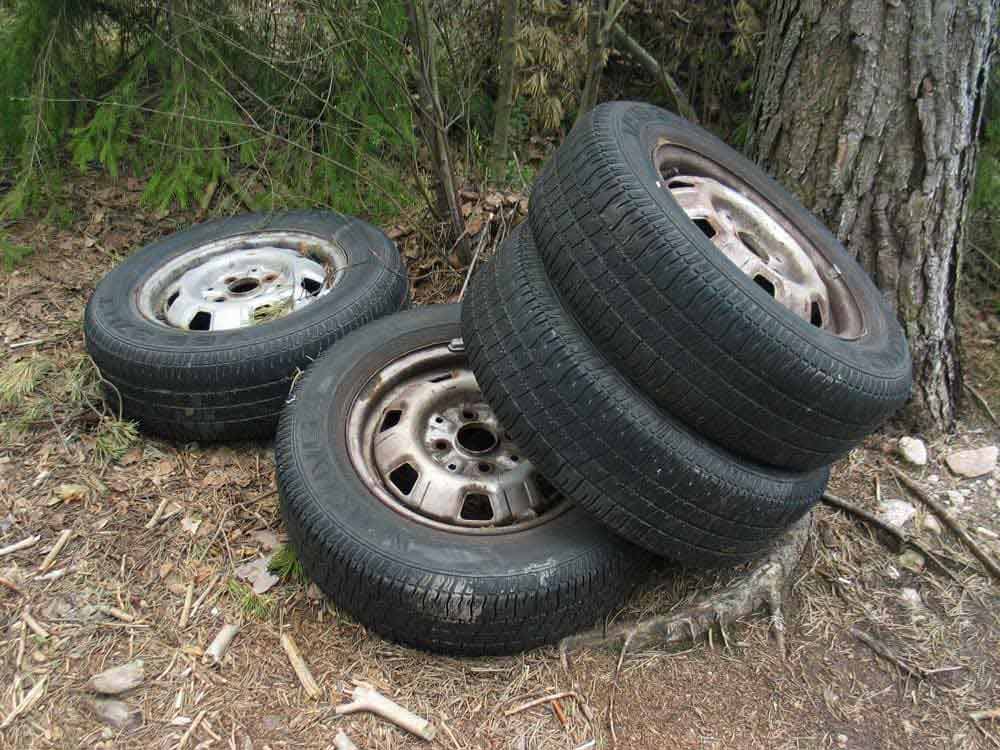 Four old car tires stacked near a tree outdoors